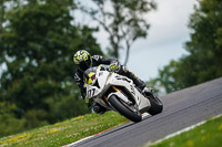 brands-hatch-photographs;brands-no-limits-trackday;cadwell-trackday-photographs;enduro-digital-images;event-digital-images;eventdigitalimages;no-limits-trackdays;peter-wileman-photography;racing-digital-images;trackday-digital-images;trackday-photos